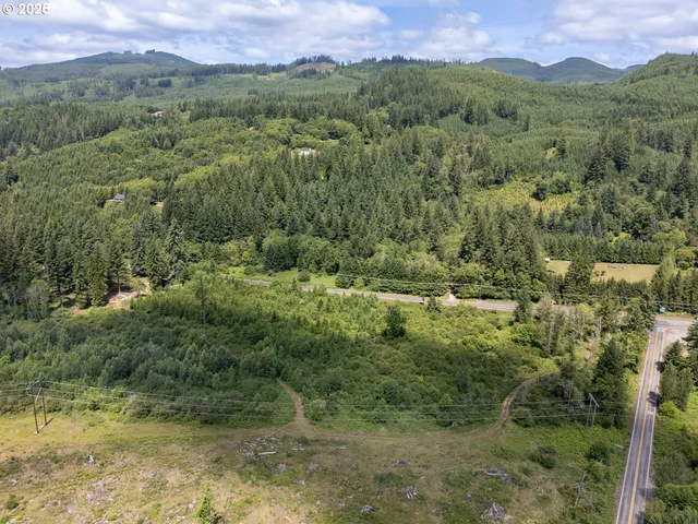 a view of a lush green forest with trees and houses