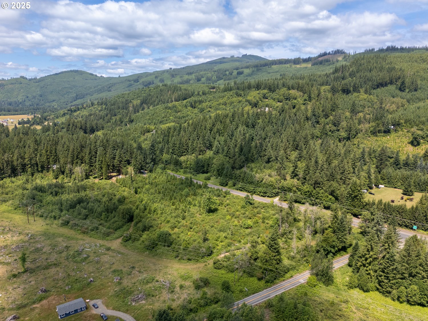 0 Lewis River Road Ariel, WA 98603 - Photo 5 of 11 a view of a city with lush green forest