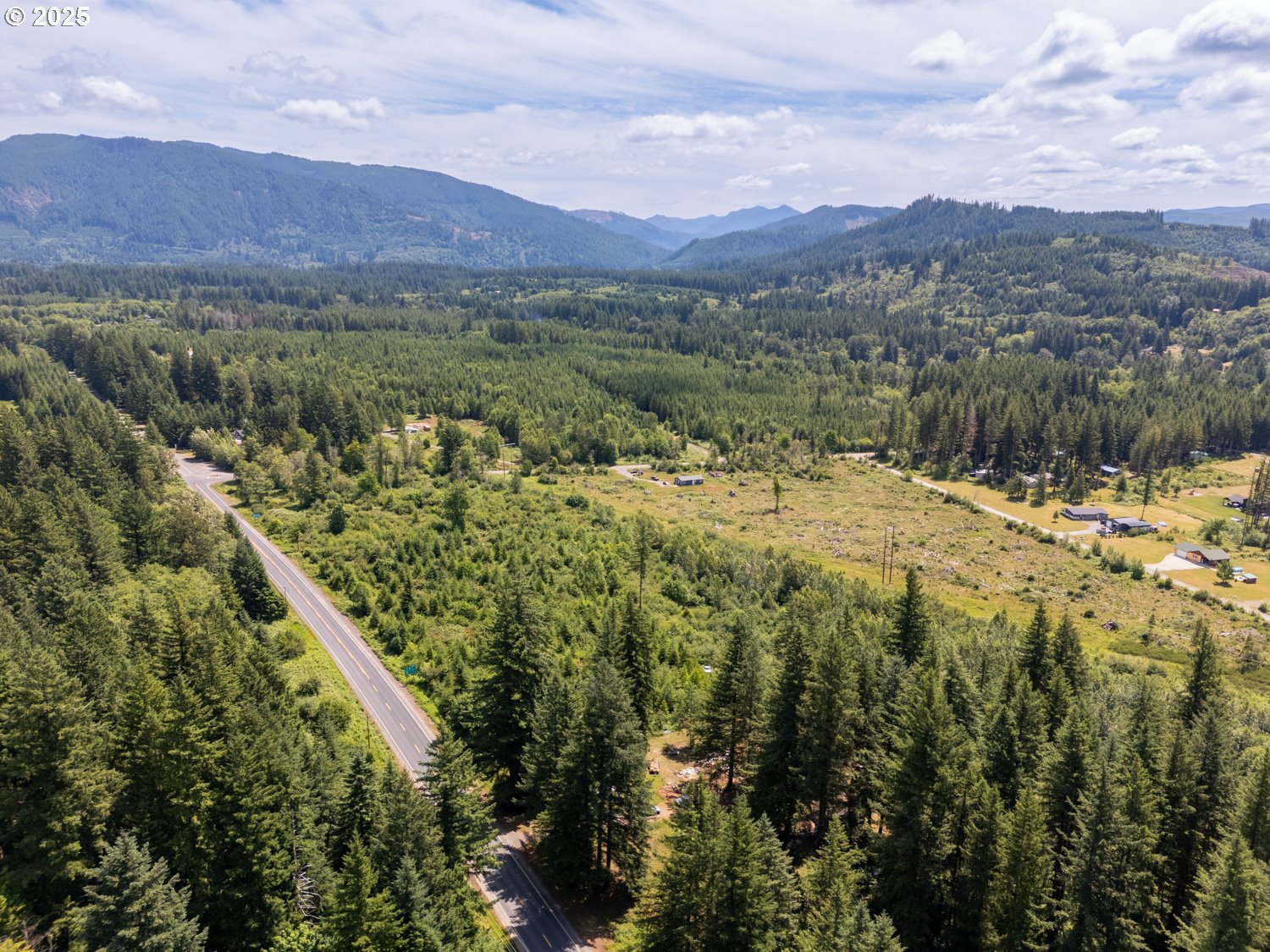 0 Lewis River Road Ariel, WA 98603 - Photo 9 of 11 a view of a lush green hillside and a mountain