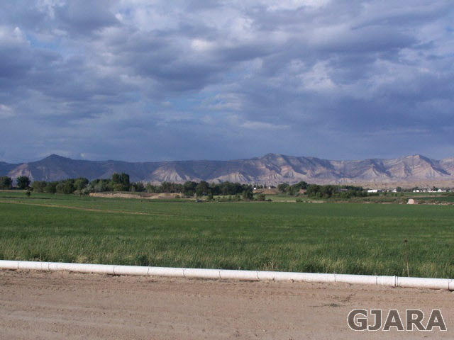 1050 23 Road Grand Junction, CO 81505 - Photo 1 of 1 Gallery Image 1