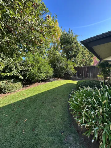 a view of a garden with an outdoor space