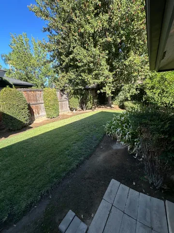 a view of a yard with plants and a bench