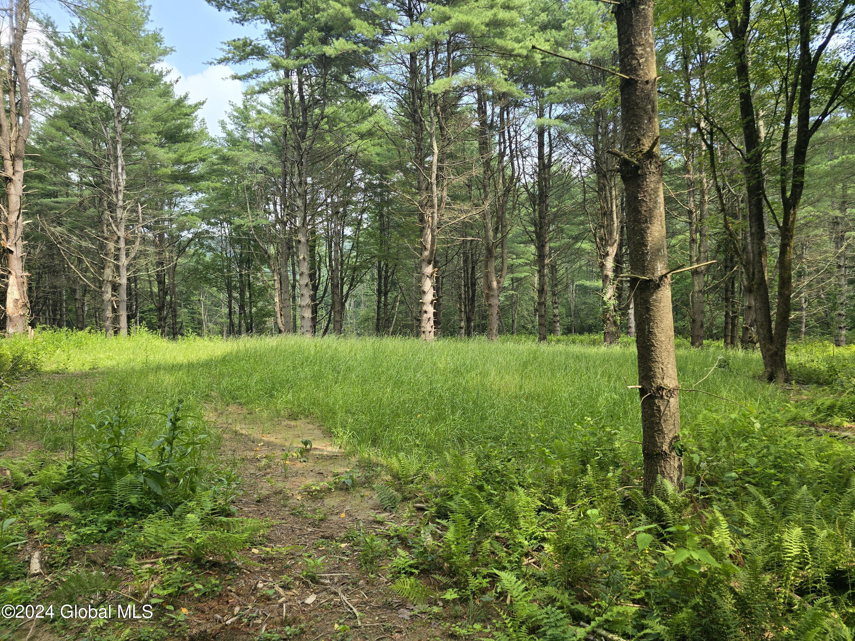 34 Rj Way Shushan, NY 12873 - Photo 11 of 31 Shushan Lot 2 open