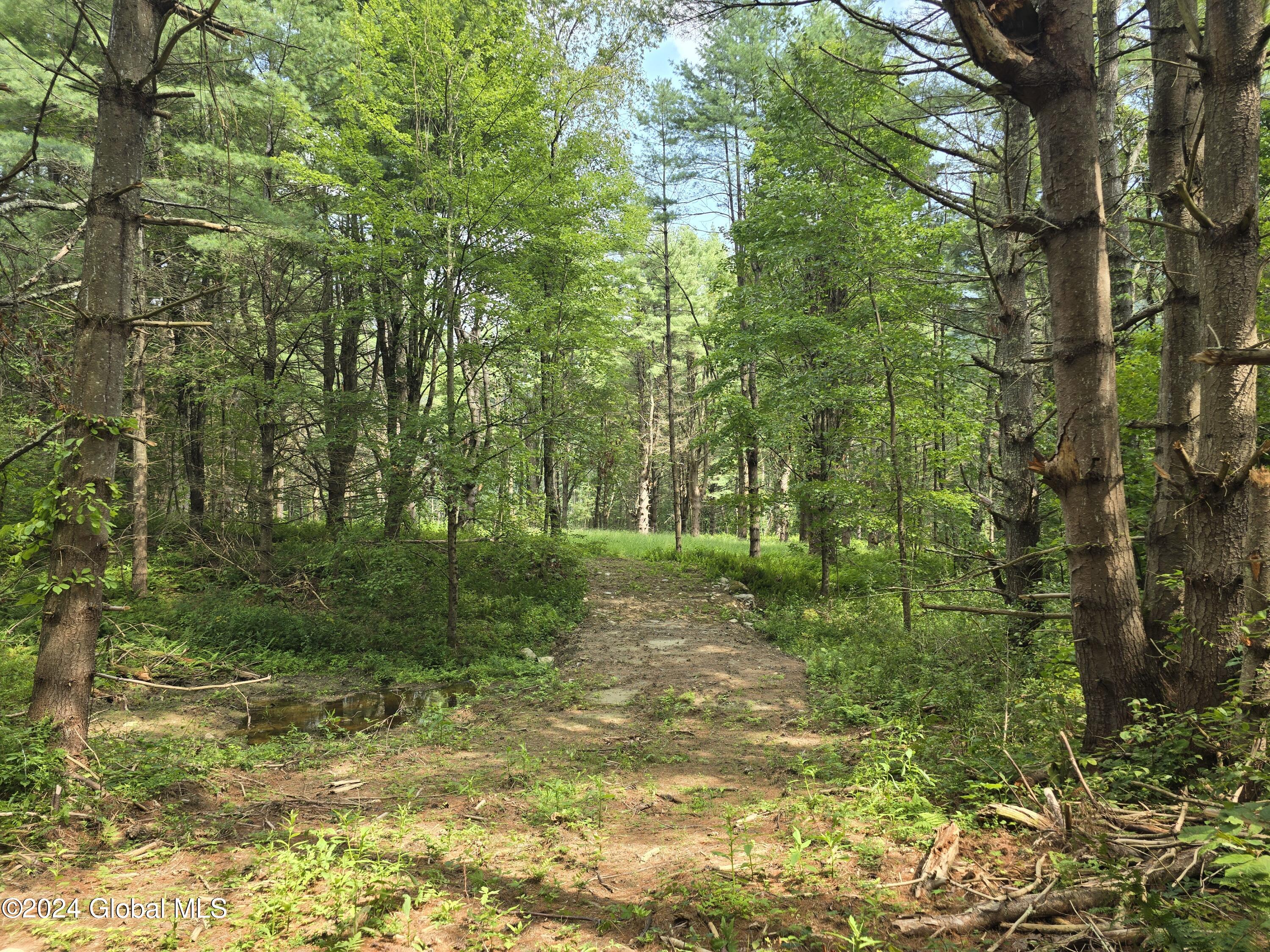 34 Rj Way Shushan, NY 12873 - Photo 13 of 31 Shushan Lot 2 Driveway