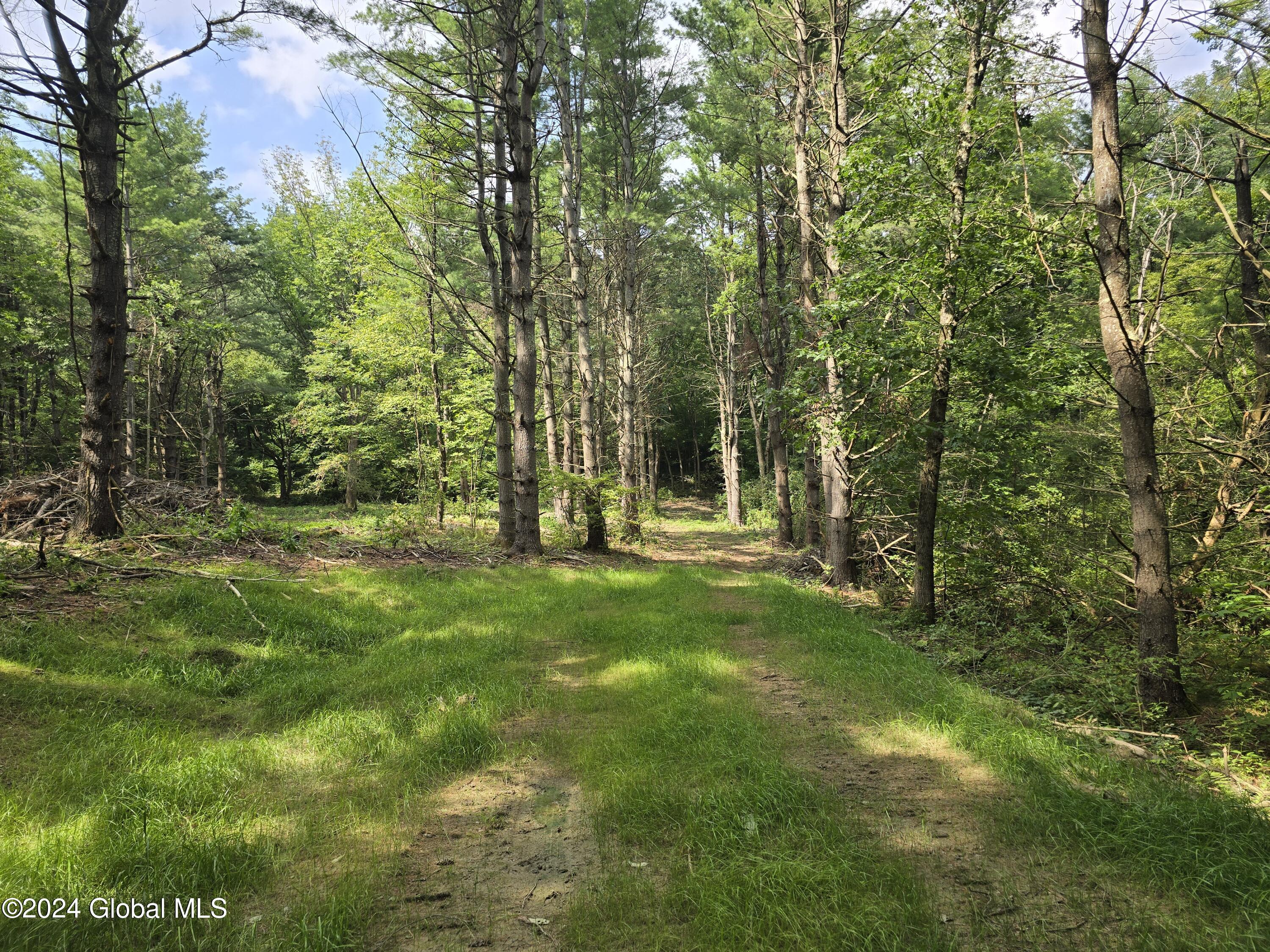 34 Rj Way Shushan, NY 12873 - Photo 14 of 31 Shushan Lot 3 -2