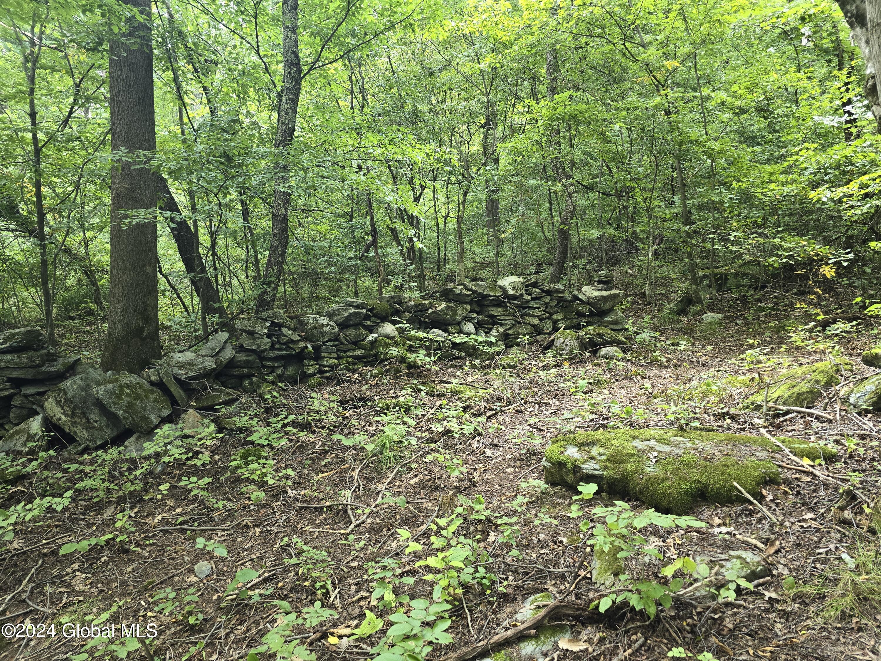 34 Rj Way Shushan, NY 12873 - Photo 16 of 31 Shushan Lot 3 Walls