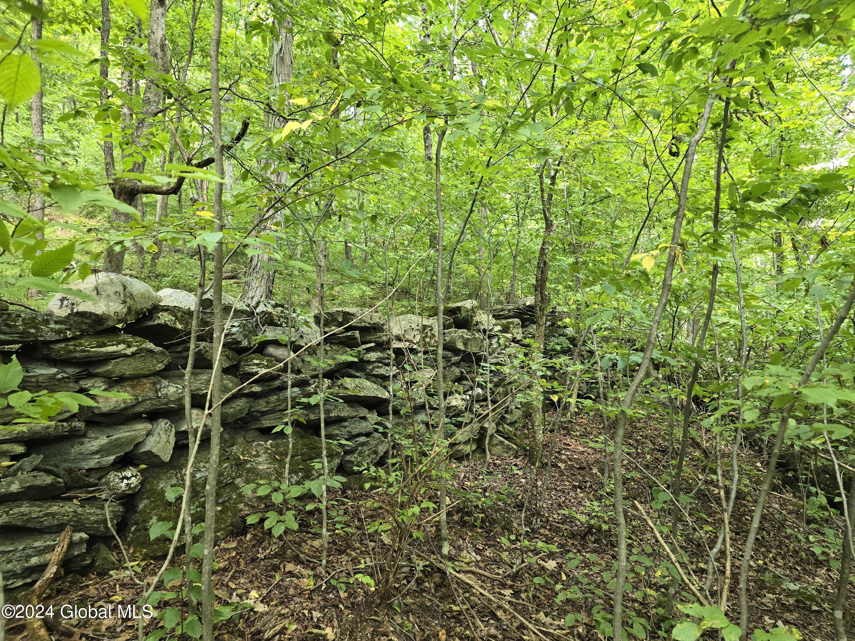 34 Rj Way Shushan, NY 12873 - Photo 18 of 31 Shushan Stone Walls 3