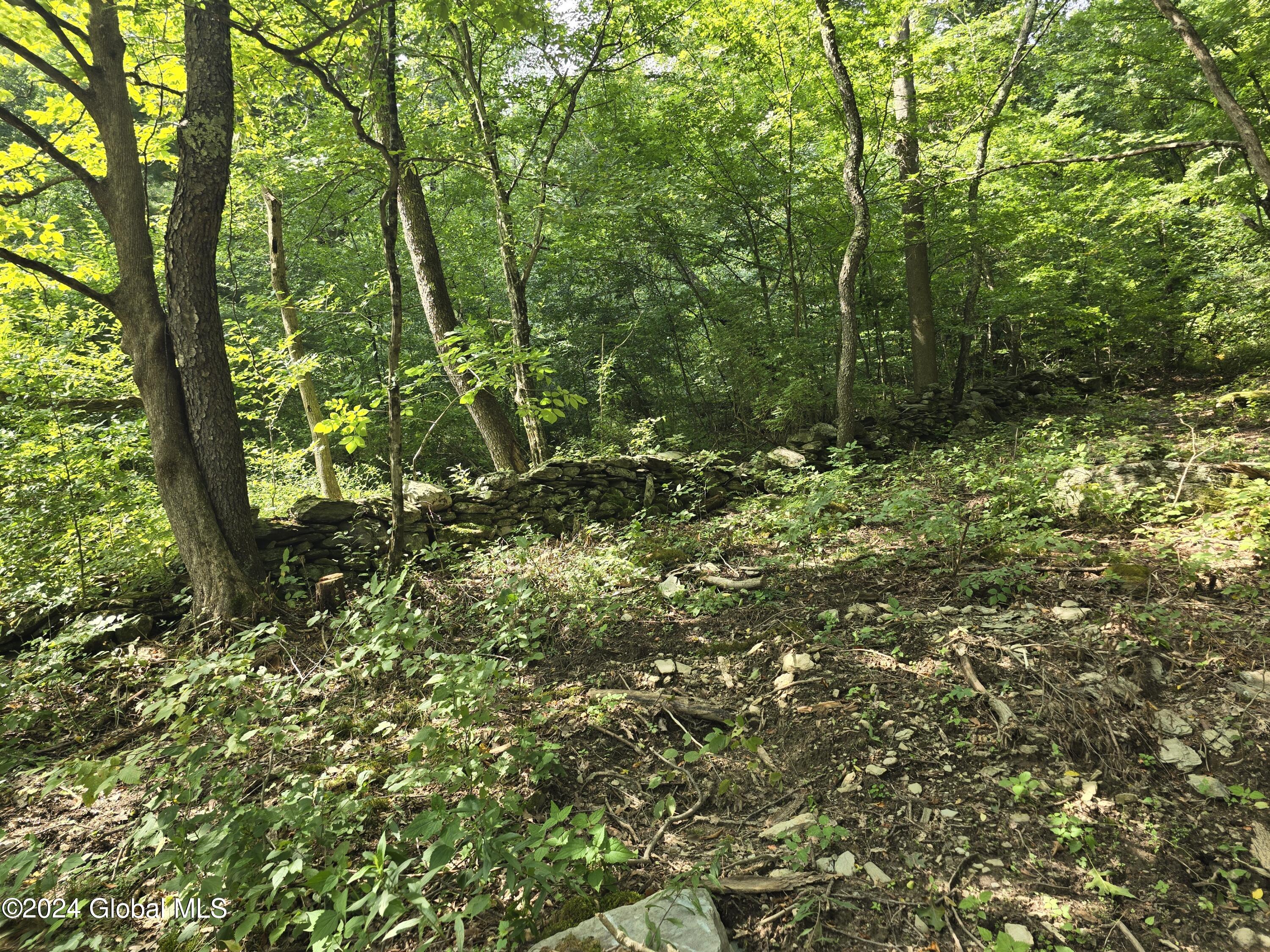 34 Rj Way Shushan, NY 12873 - Photo 20 of 31 Shushan Stone Walls 1