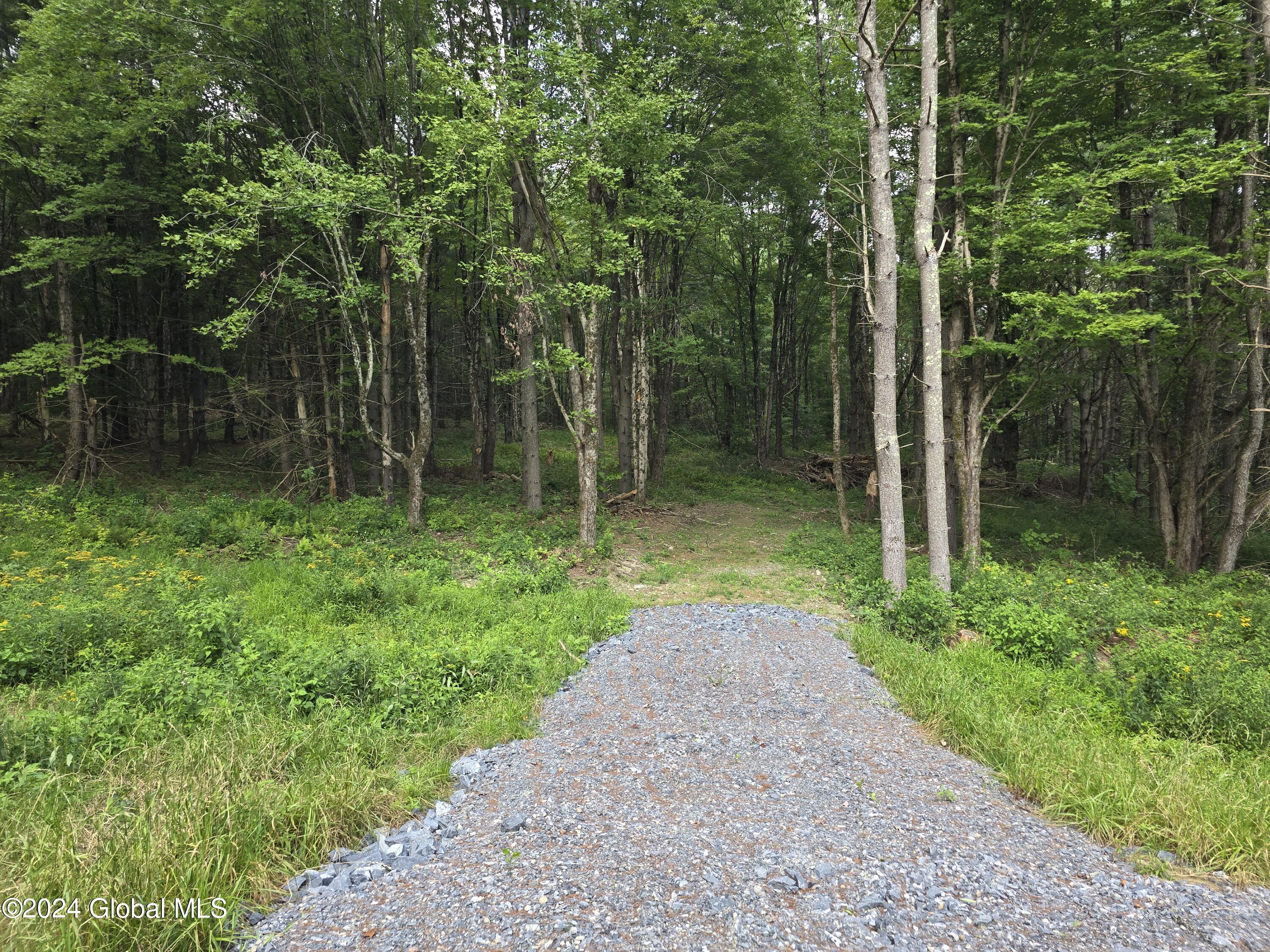 34 Rj Way Shushan, NY 12873 - Photo 21 of 31 Shushan Lot 4 Driveway