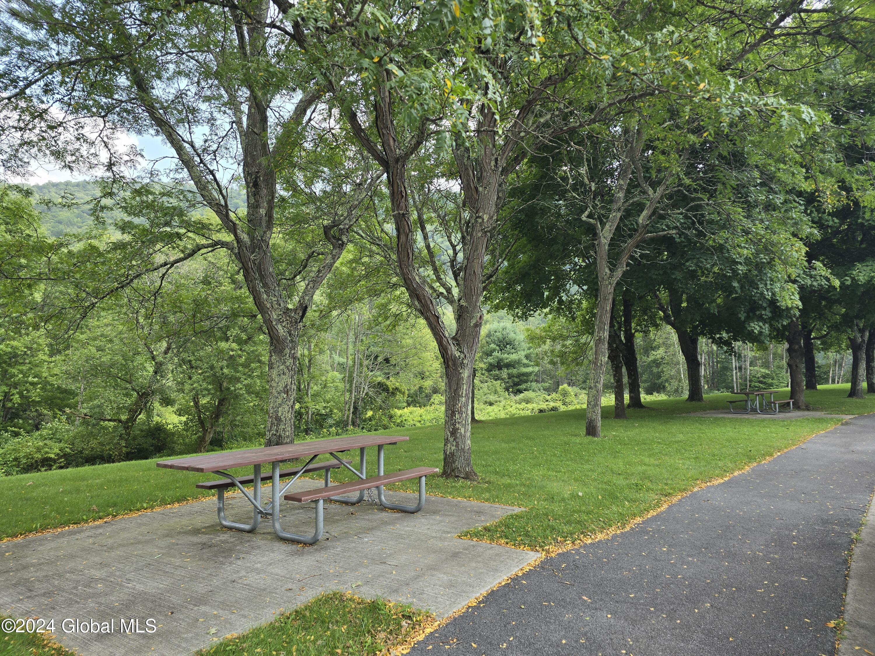 34 Rj Way Shushan, NY 12873 - Photo 24 of 31 Shushan Park-boat-fish area