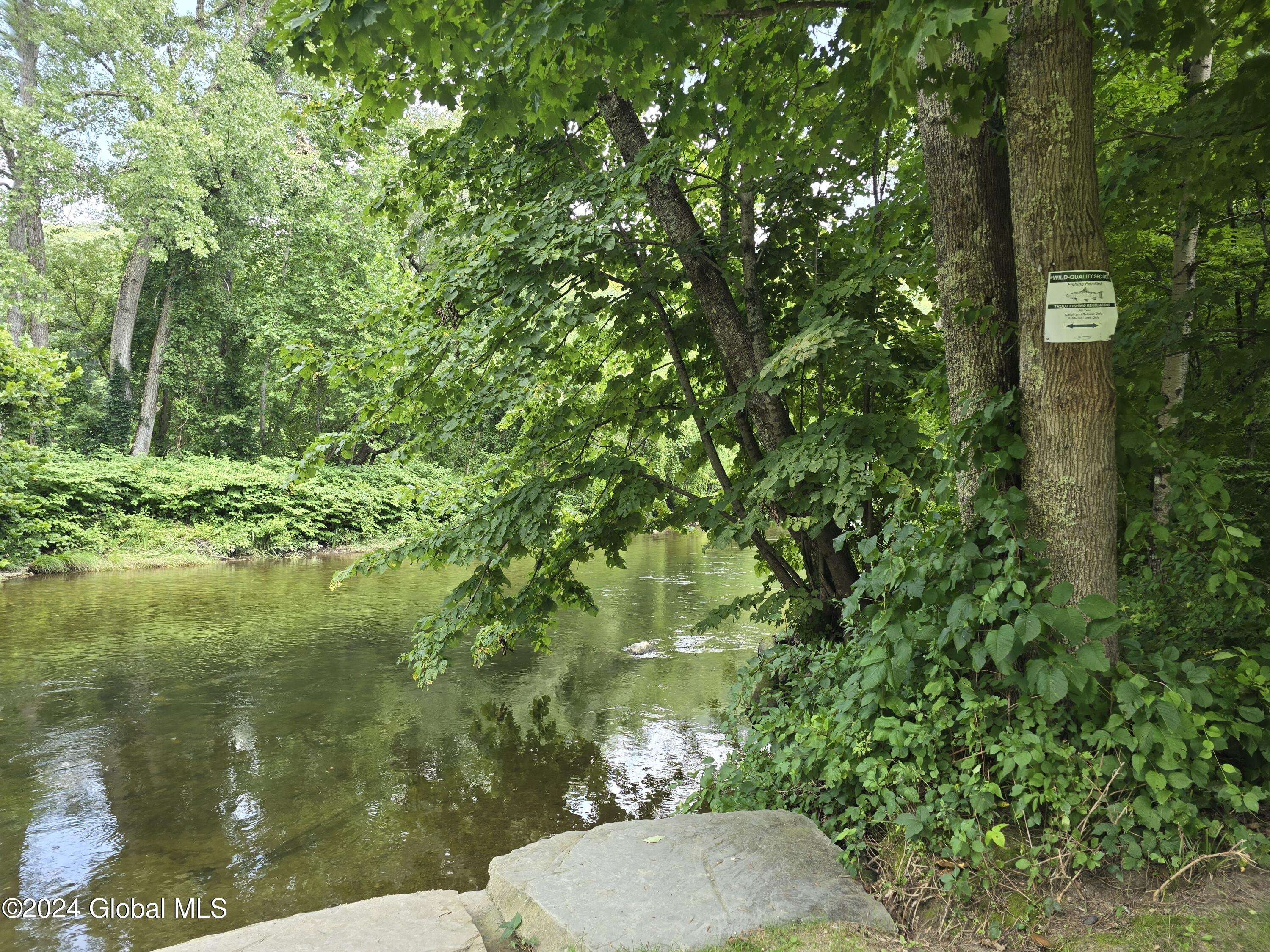 34 Rj Way Shushan, NY 12873 - Photo 25 of 31 Shushan Fishing 2