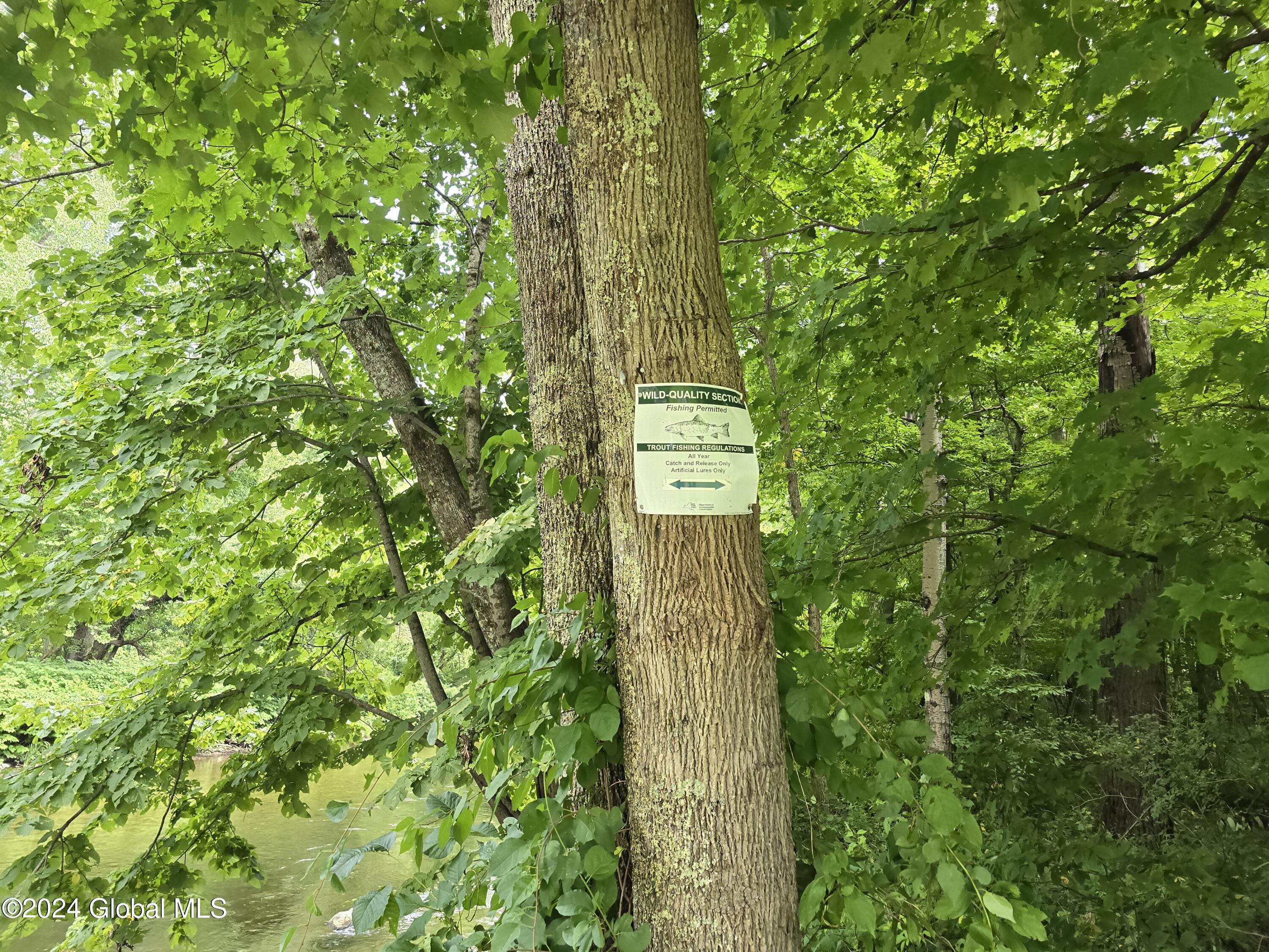 34 Rj Way Shushan, NY 12873 - Photo 26 of 31 Shushan Fishing