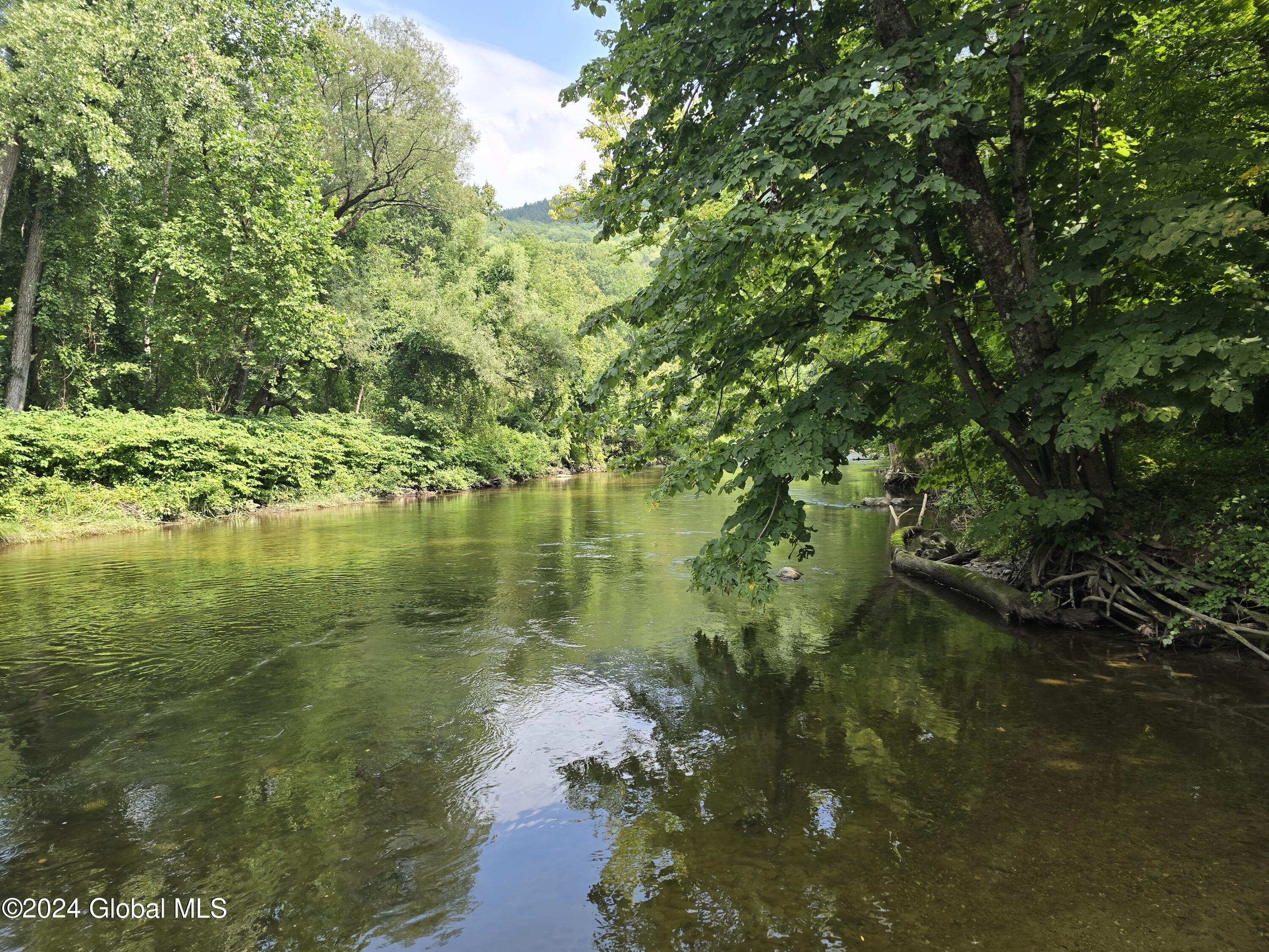 34 Rj Way Shushan, NY 12873 - Photo 4 of 31 Shushan Boat Launch 1