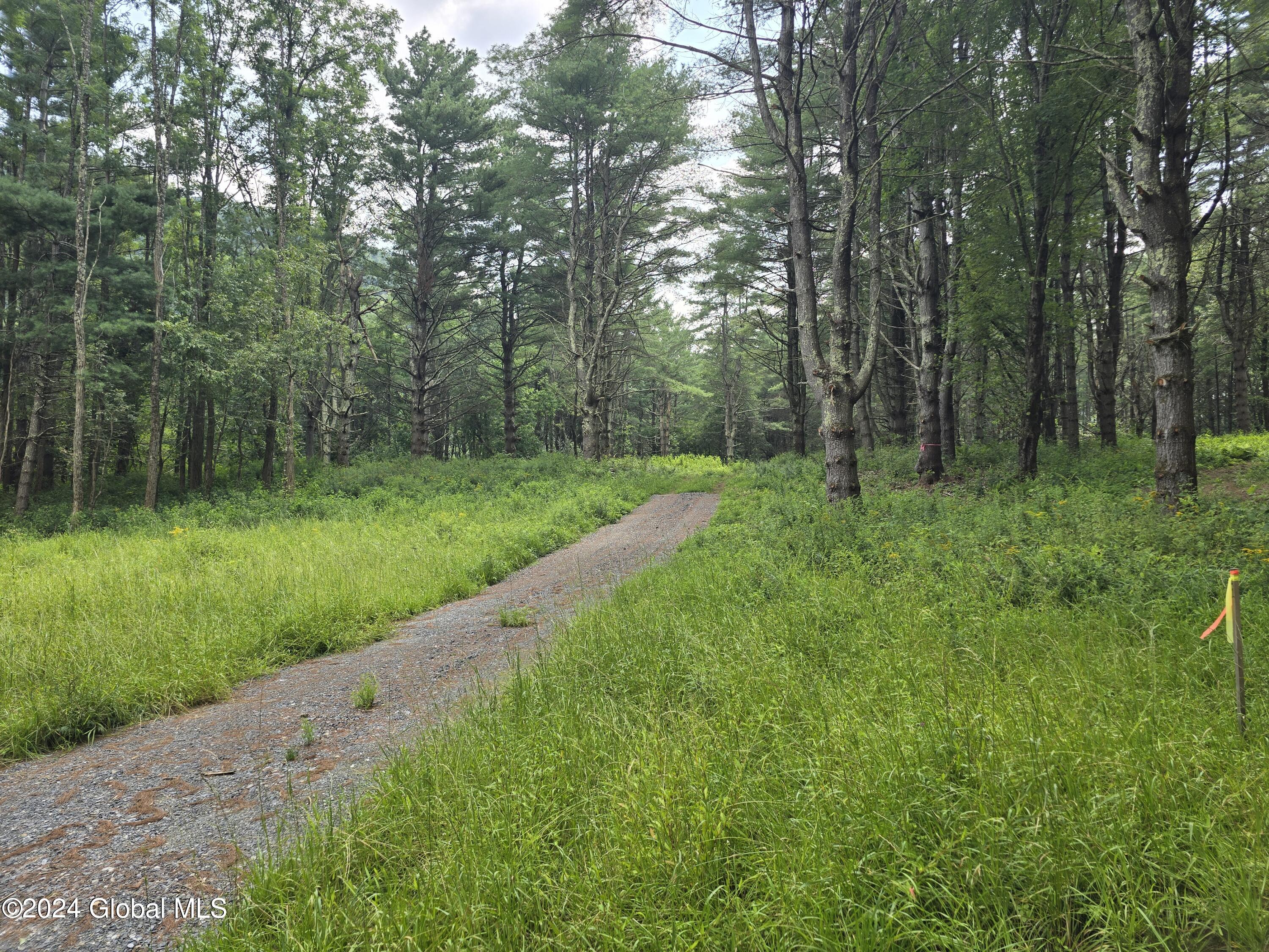34 Rj Way Shushan, NY 12873 - Photo 6 of 31 Shushan Lot 1