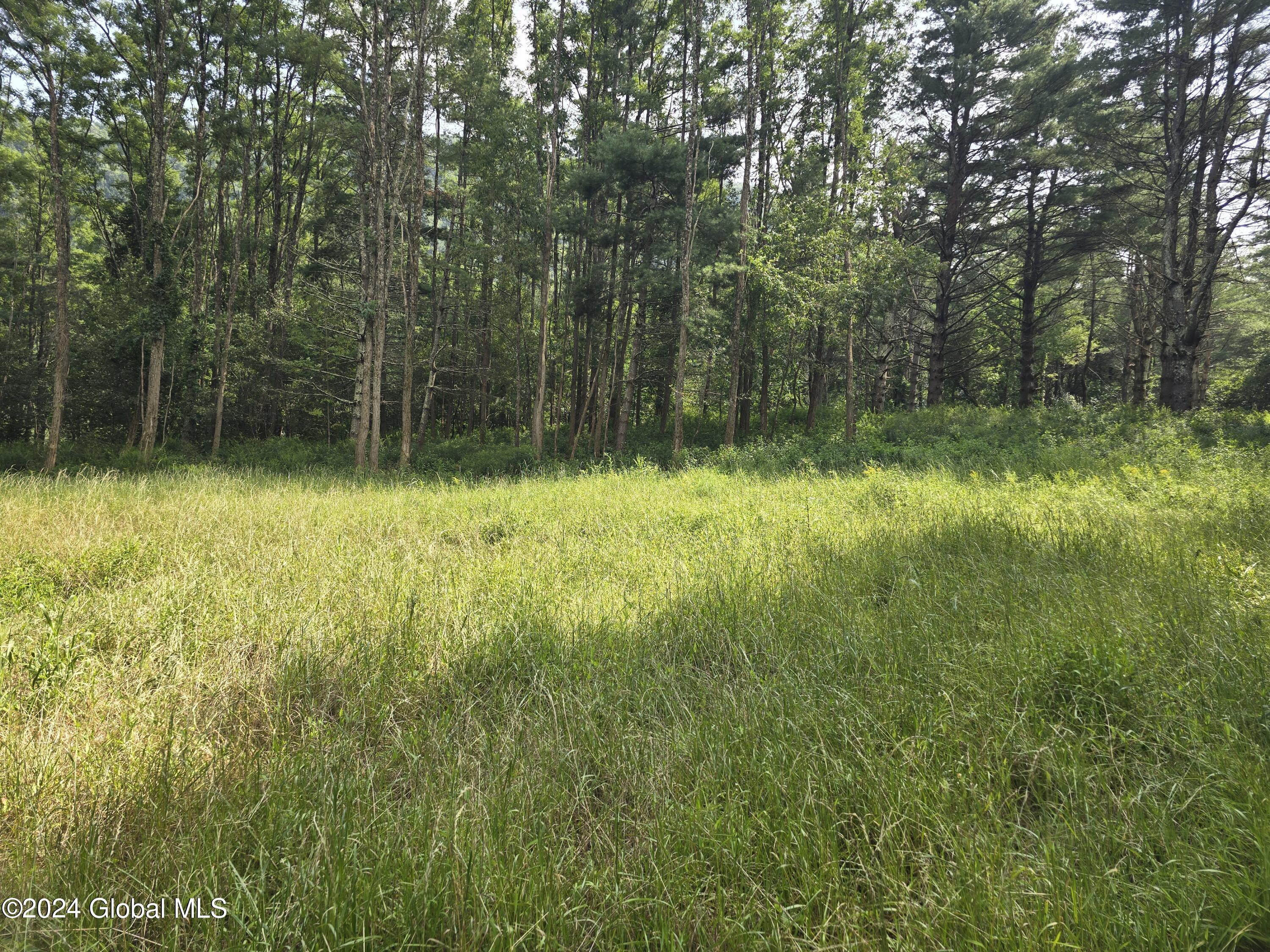 34 Rj Way Shushan, NY 12873 - Photo 7 of 31 Shushan Lot 1 greenery