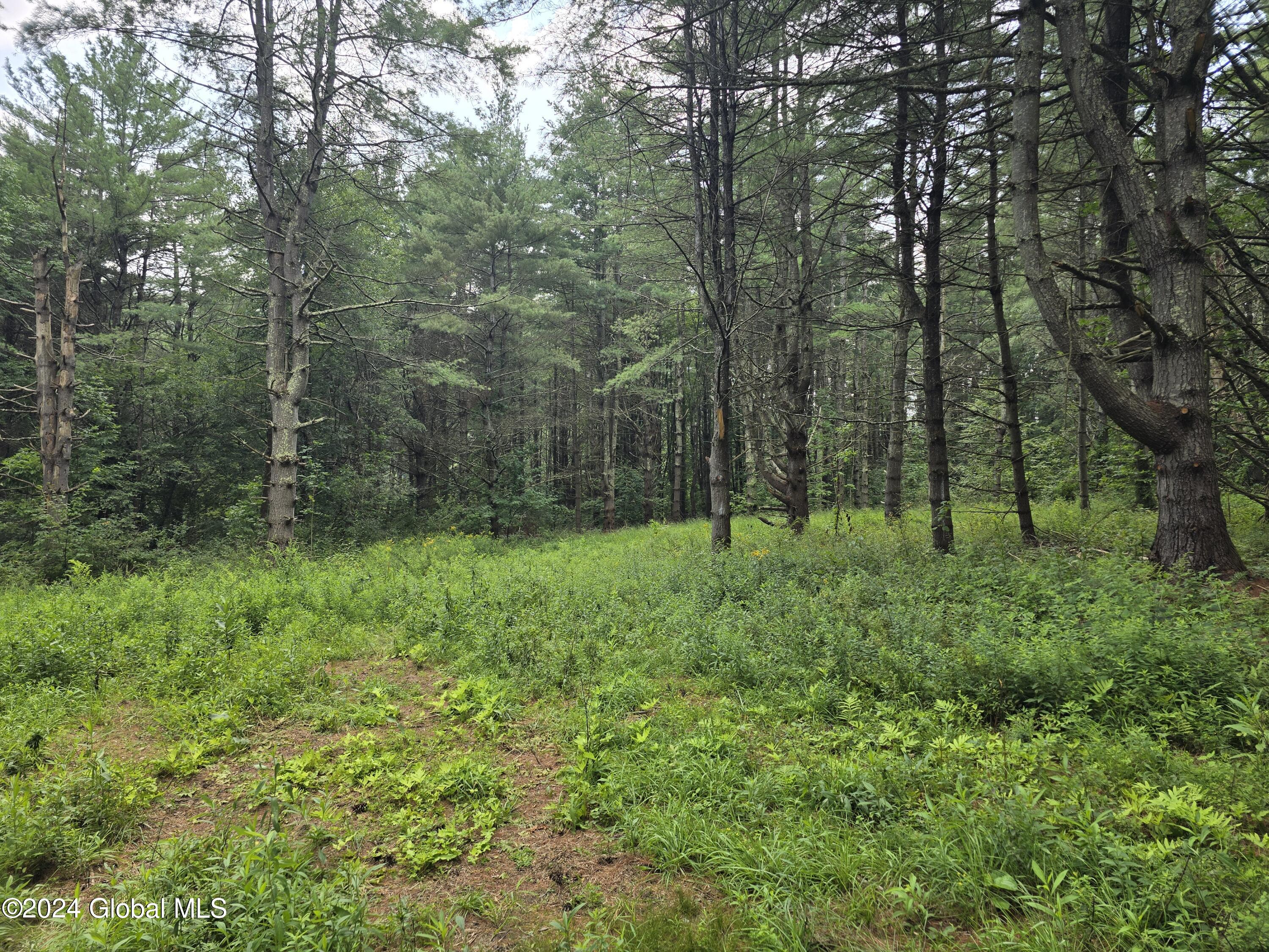 34 Rj Way Shushan, NY 12873 - Photo 9 of 31 Shushan Lot 1-2