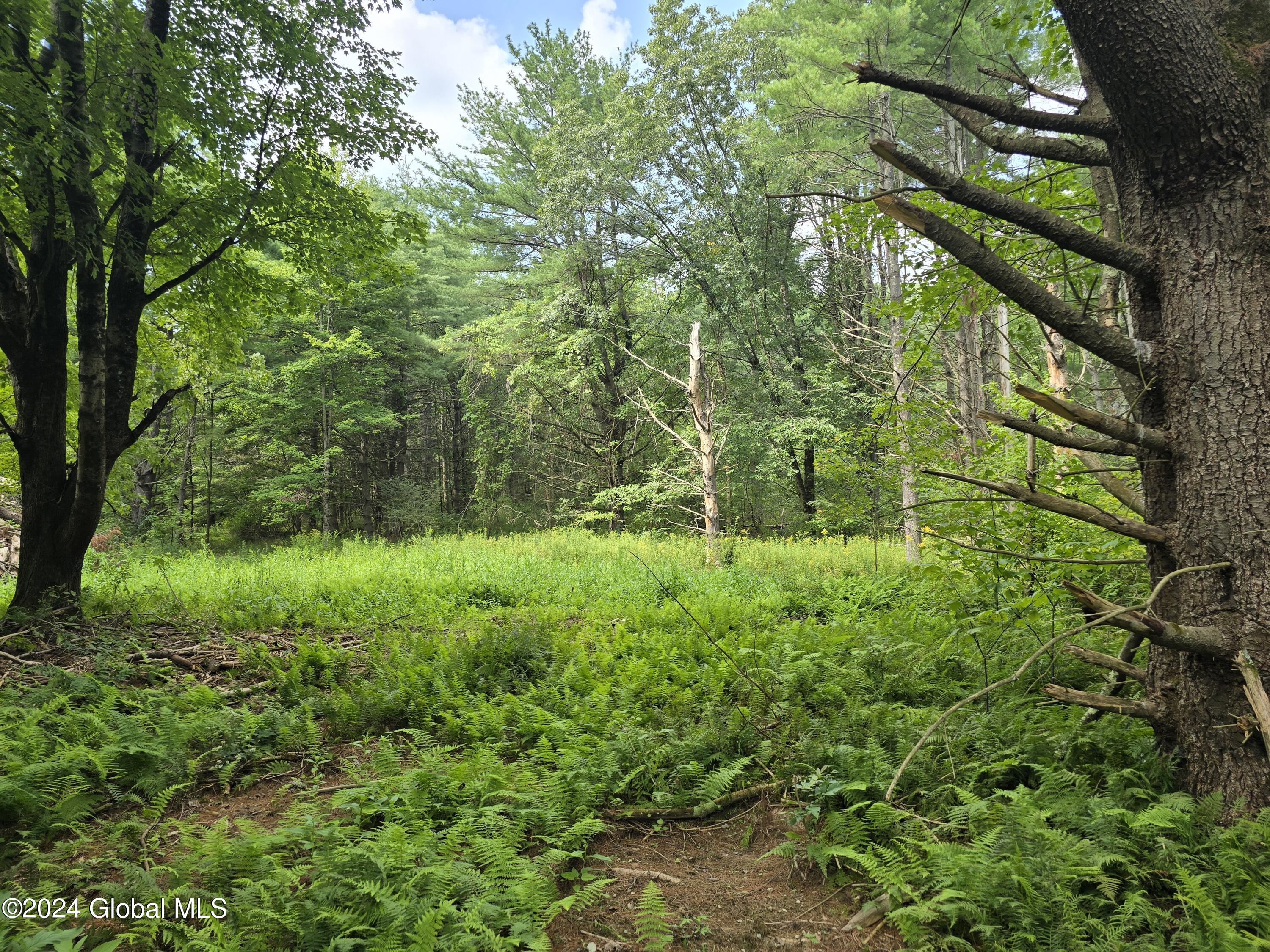 34 Rj Way Shushan, NY 12873 - Photo 10 of 31 Shushan Lot 2 open areas