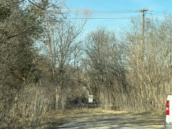a view of a yard