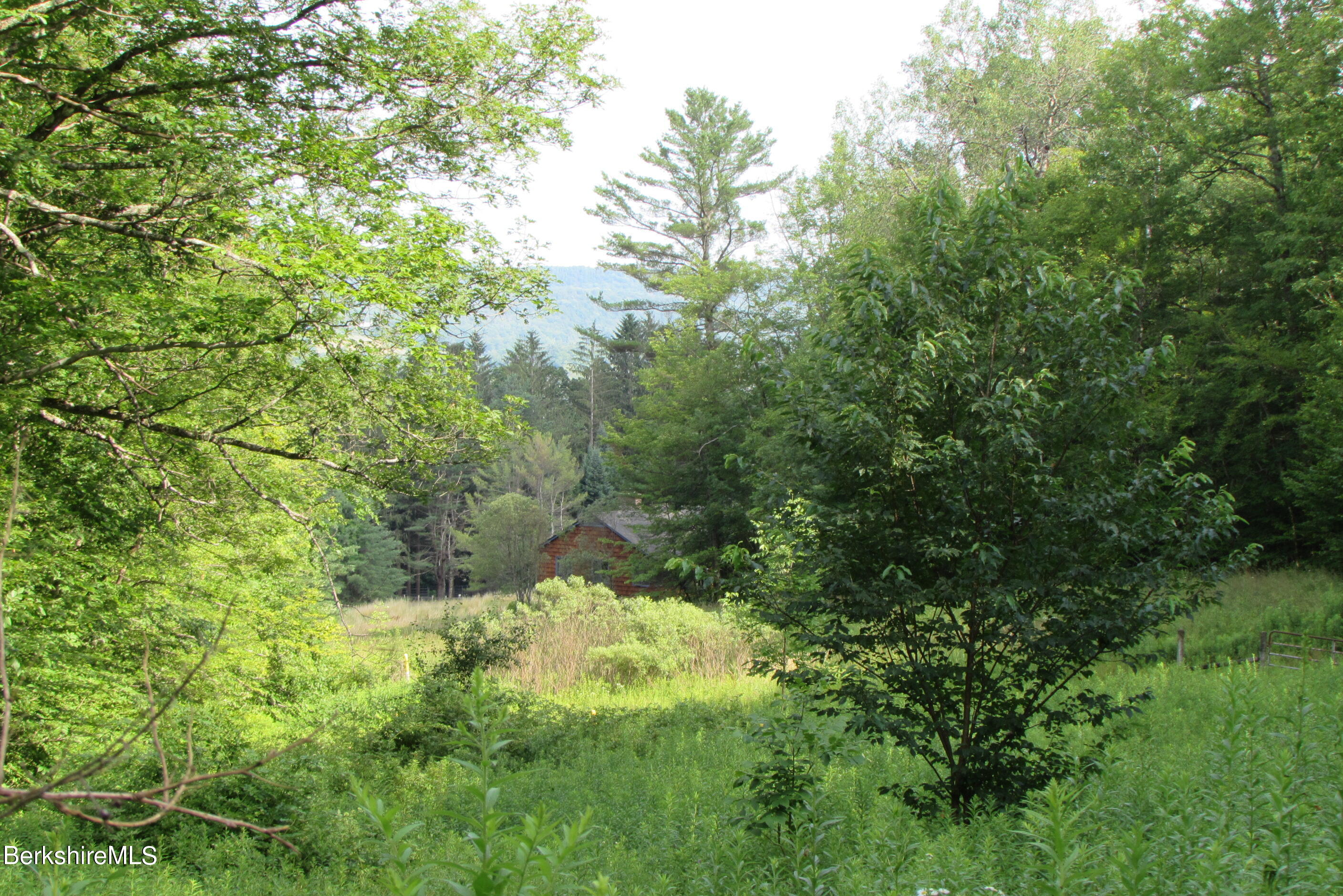 103 Patton Road Richmond, MA 01254 - Photo 36 of 37 a view of a lush green forest