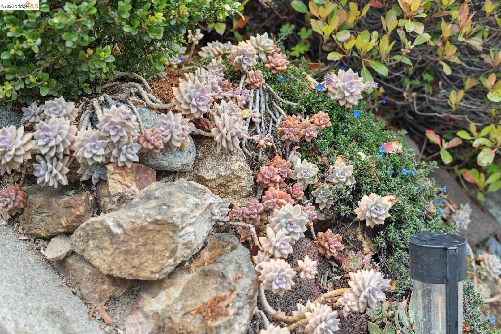 4107 Lyman Road Oakland, CA 94602 - Photo 57 of 57 Exterior view