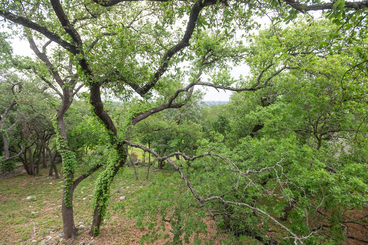 11513 Juniper Ridge Drive Austin, TX 78759 - Photo 20 of 35