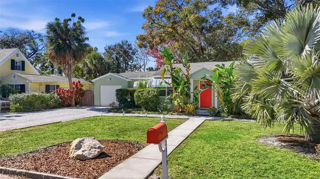 a garden with palm trees