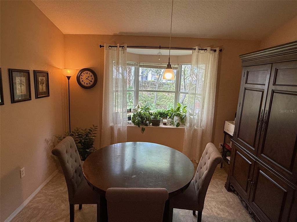 4147 La Pasida Lane New Port Richey, FL 34655 - Photo 24 of 54