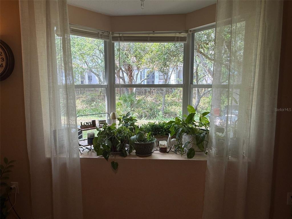 4147 La Pasida Lane New Port Richey, FL 34655 - Photo 25 of 54