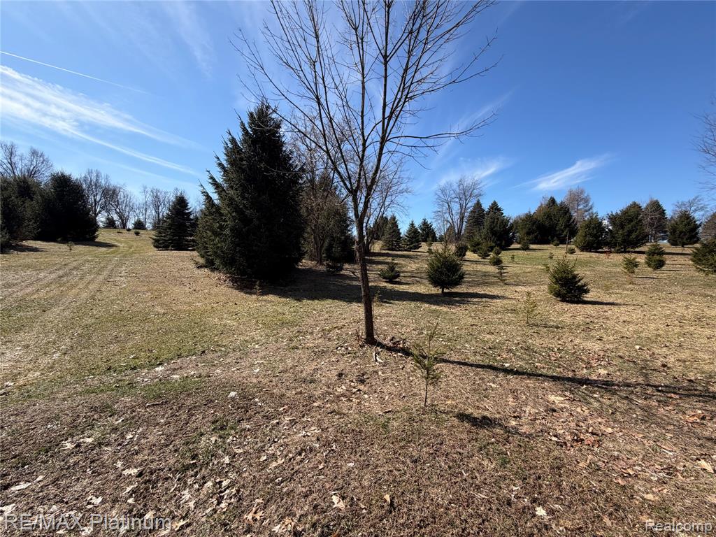 Vl Rohn Road Fenton, MI 48430 - Photo 3 of 25