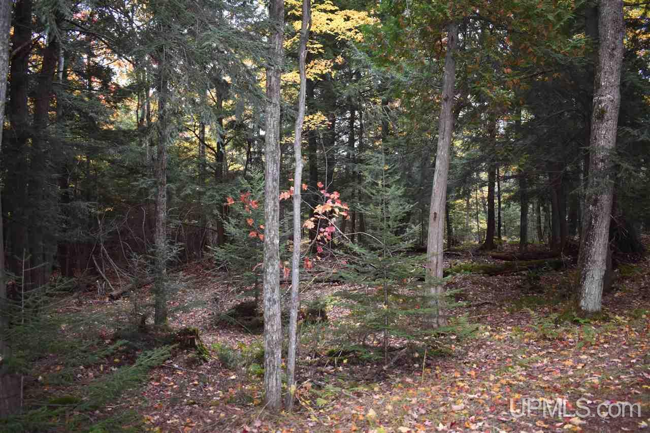 9-acres Deerton Road Deerton, MI 49822 - Photo 22 of 37 Gallery Image 22
