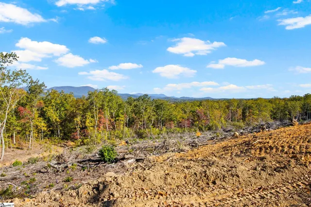 $449,900 | 1950 Pleasant Hill Road, Greer, SC 29651