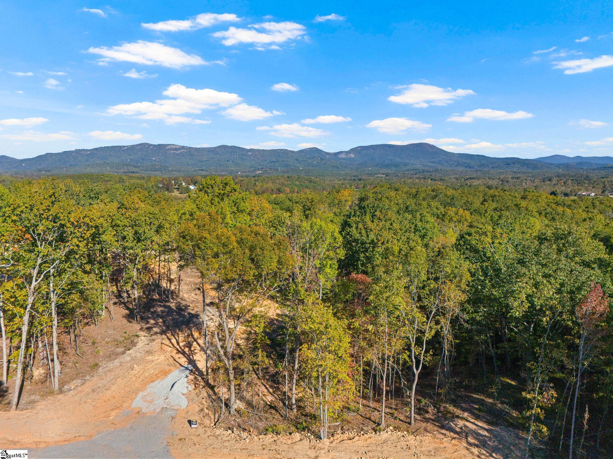 1950 Pleasant Hill Road Greer, SC 29651 - Photo 8 of 8