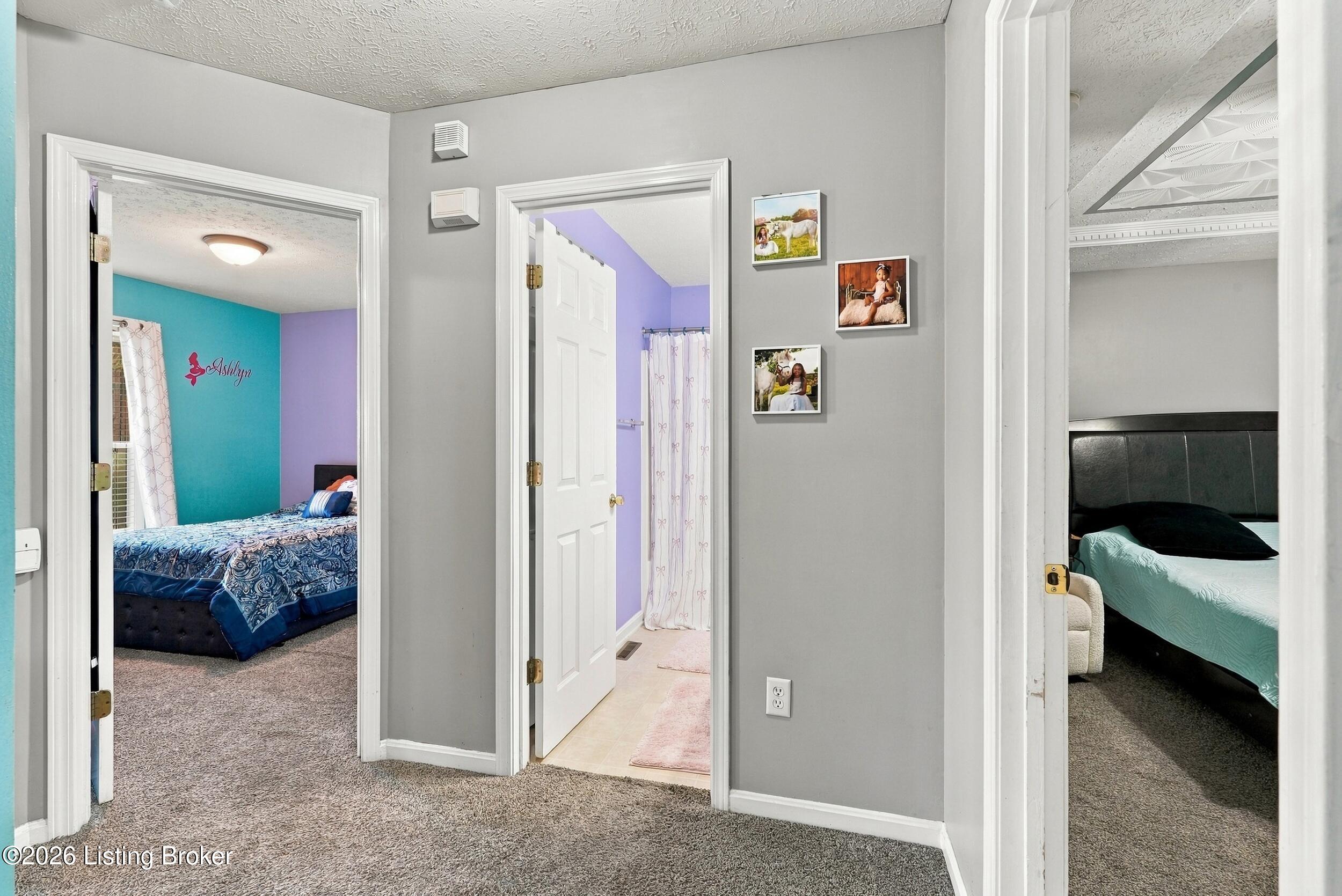 6902 Barbrook Road Louisville, KY 40258 - Photo 22 of 50 dsc09822