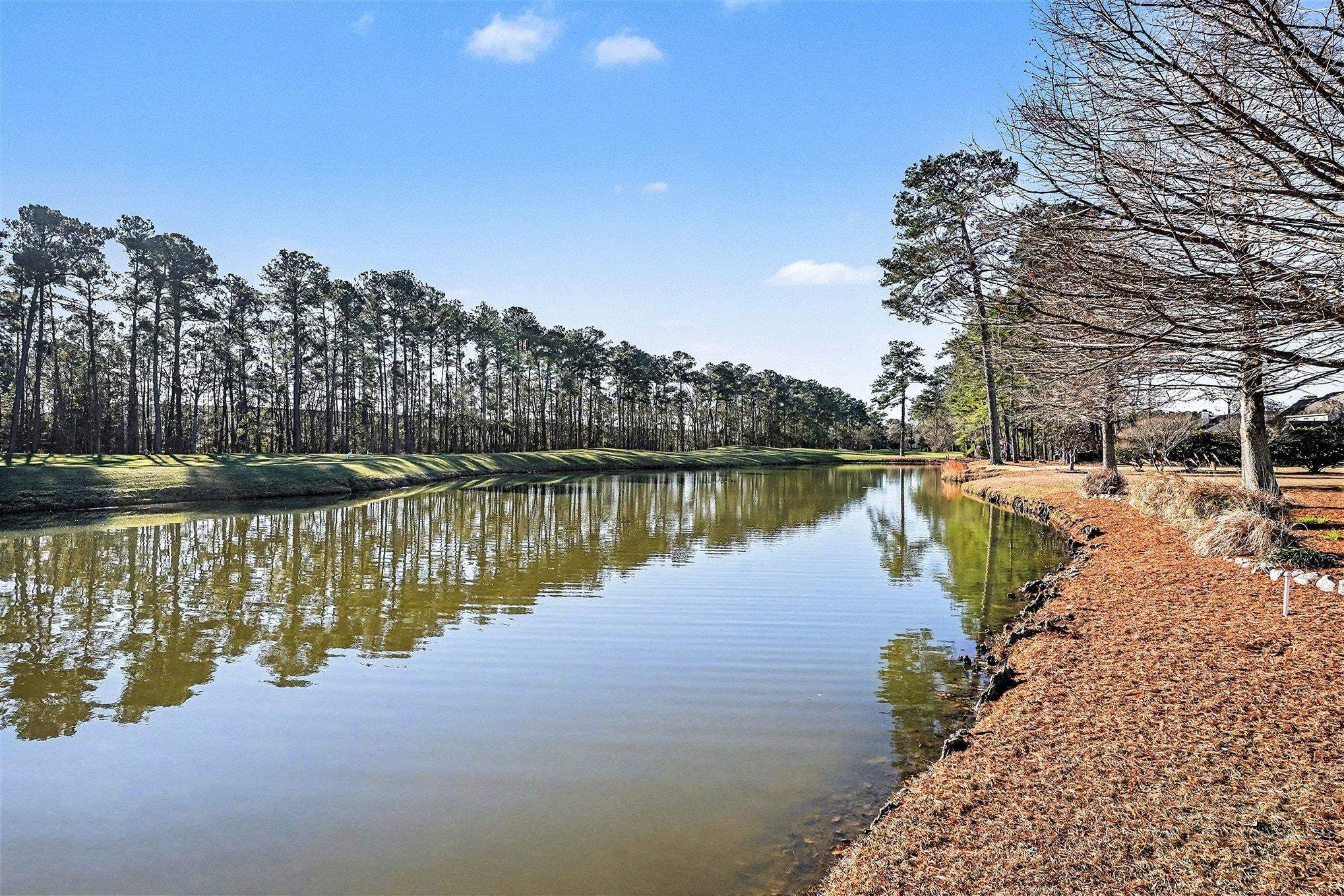 3425 Arrowhead Boulevard Myrtle Beach, SC 29579 - Photo 36 of 38 Water view with a forest