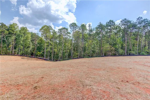 a view of a field with trees in the background