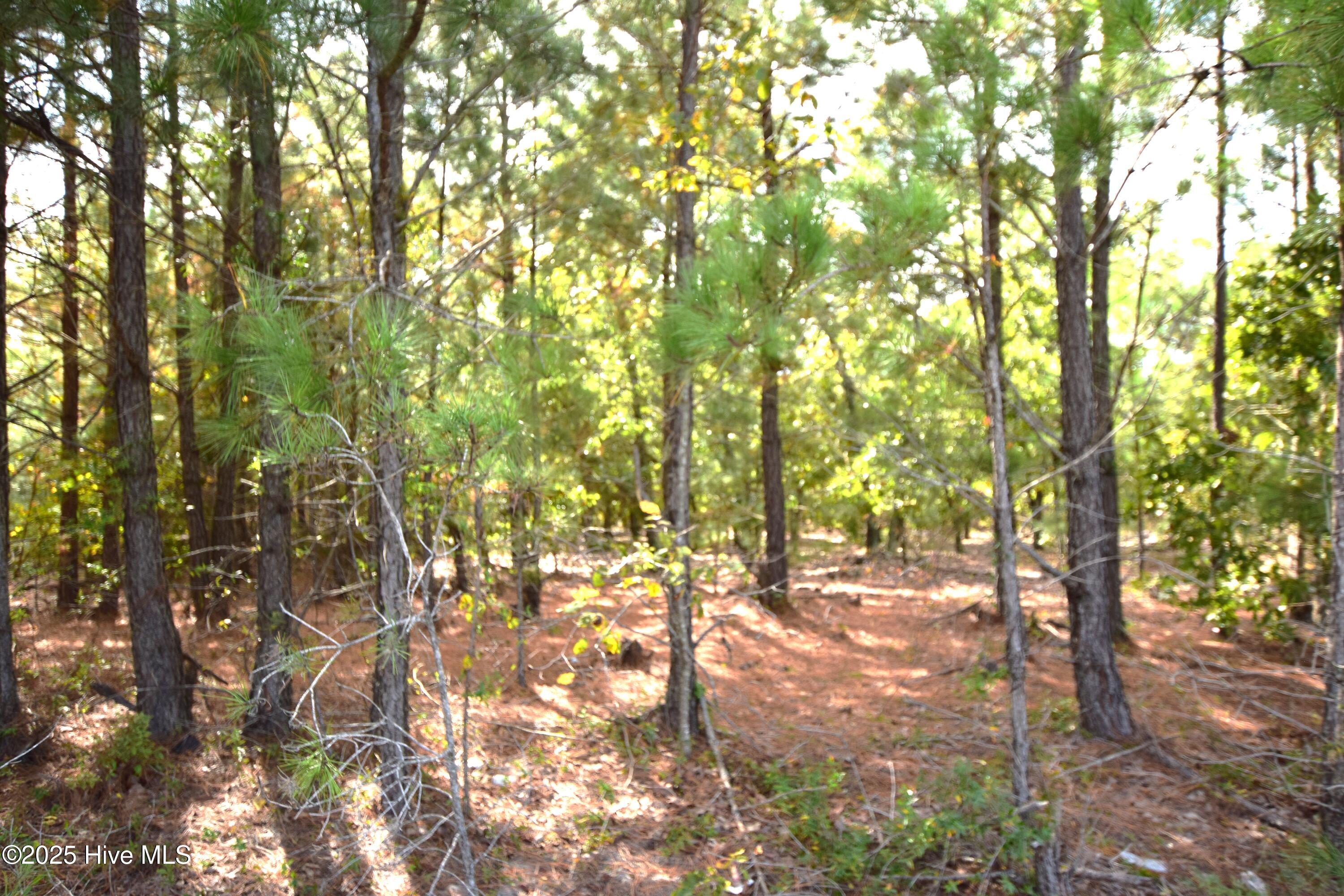 1035 Mill Road Jackson Springs, NC 27281 - Photo 1 of 5 Mill Road Jackson Springs
