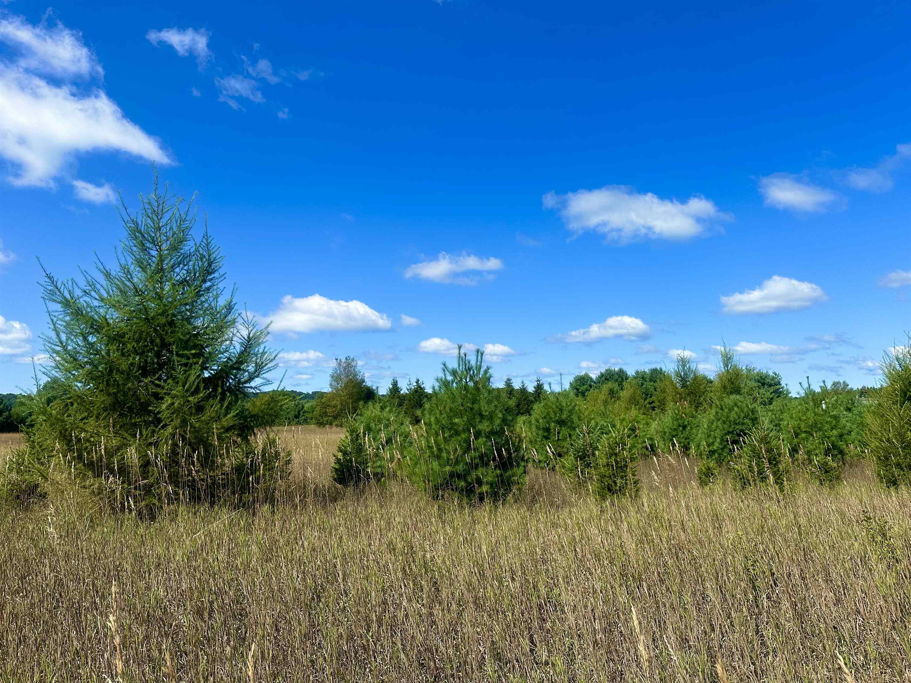 0 Psutka Road Thompsonville, MI 49683 - Photo 1 of 12