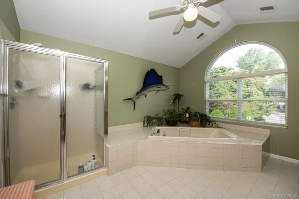 a bathroom with a bathtub and a shower
