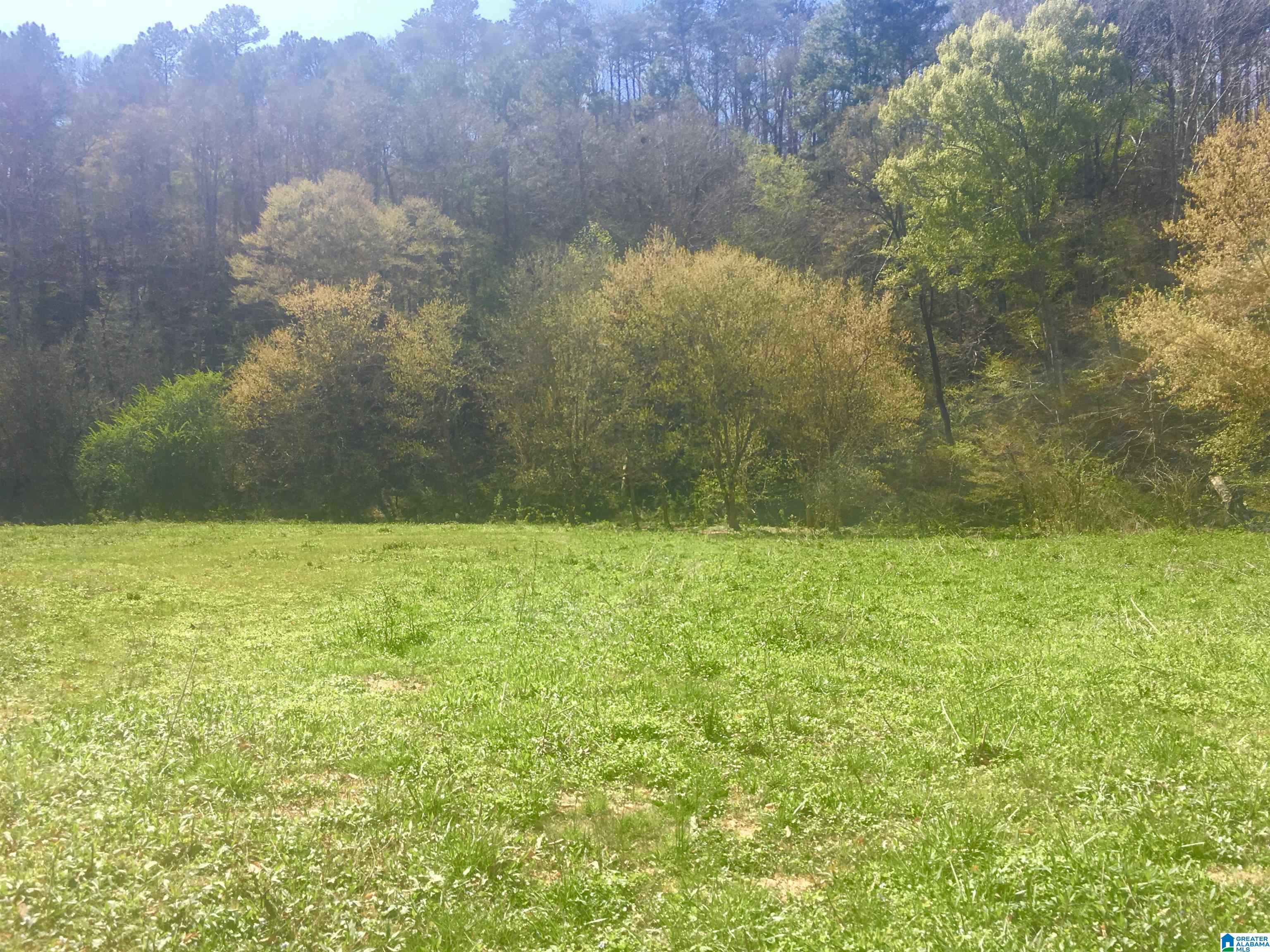 0 Fox Run, Unit 13 Oneonta, AL 35121 - Photo 3 of 3