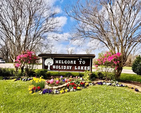 a outdoor space with lots of flowers and tree
