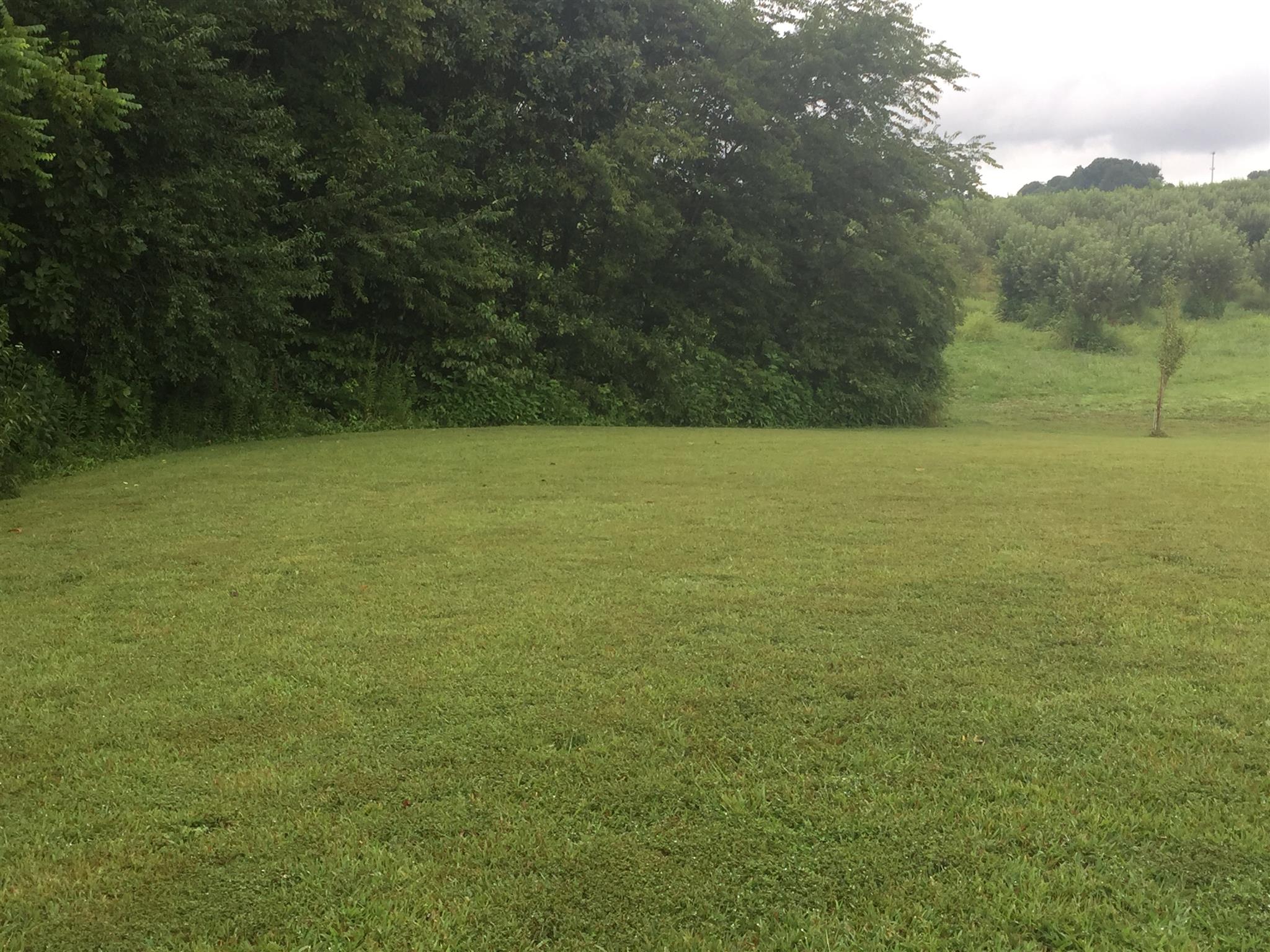 7642 Bob Carr Road Cross Plains, TN 37049 - Photo 29 of 29 Gallery Image 29