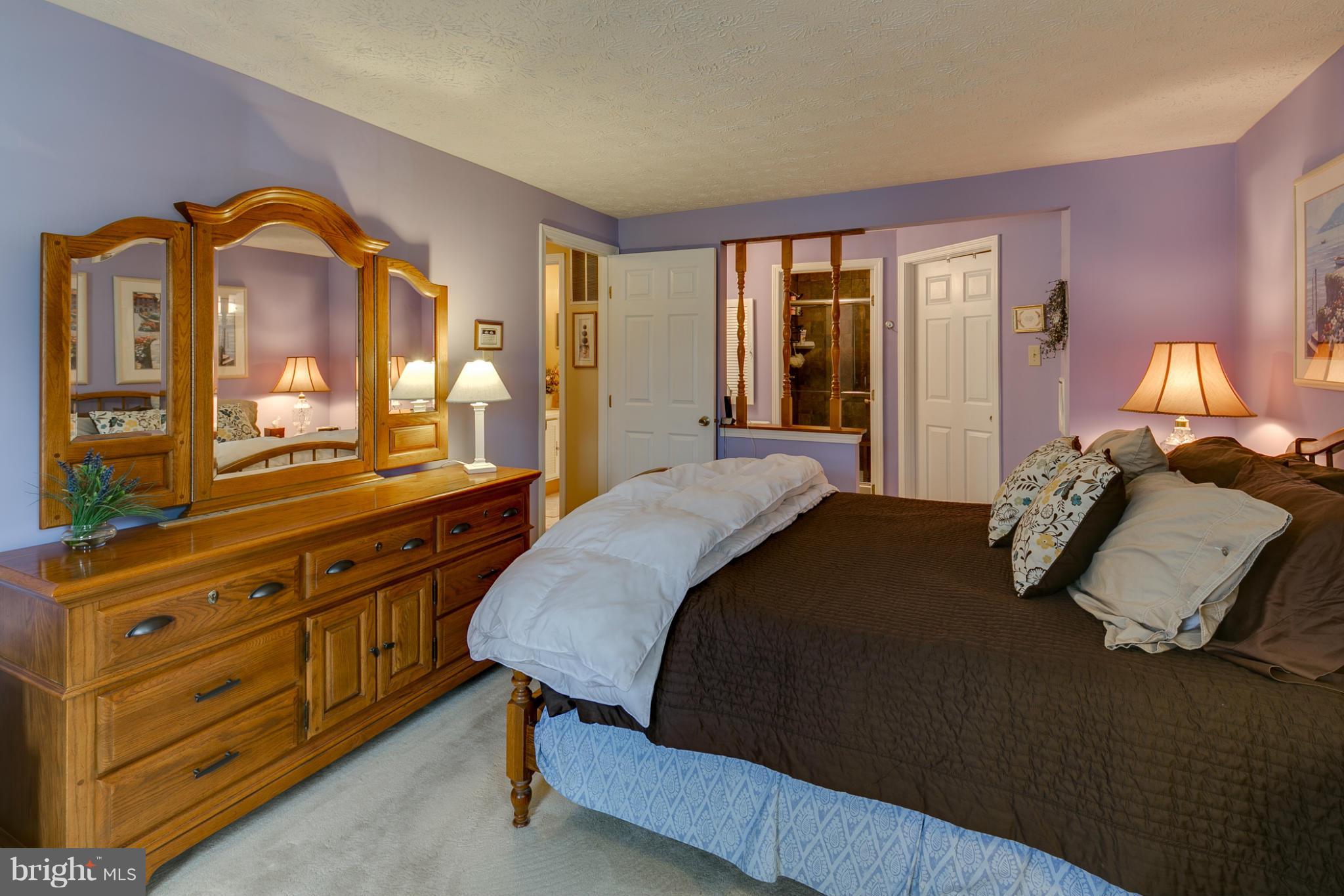1461 Silo Way Silver Spring, MD 20905 - Photo 16 of 22 Bedroom (Master)