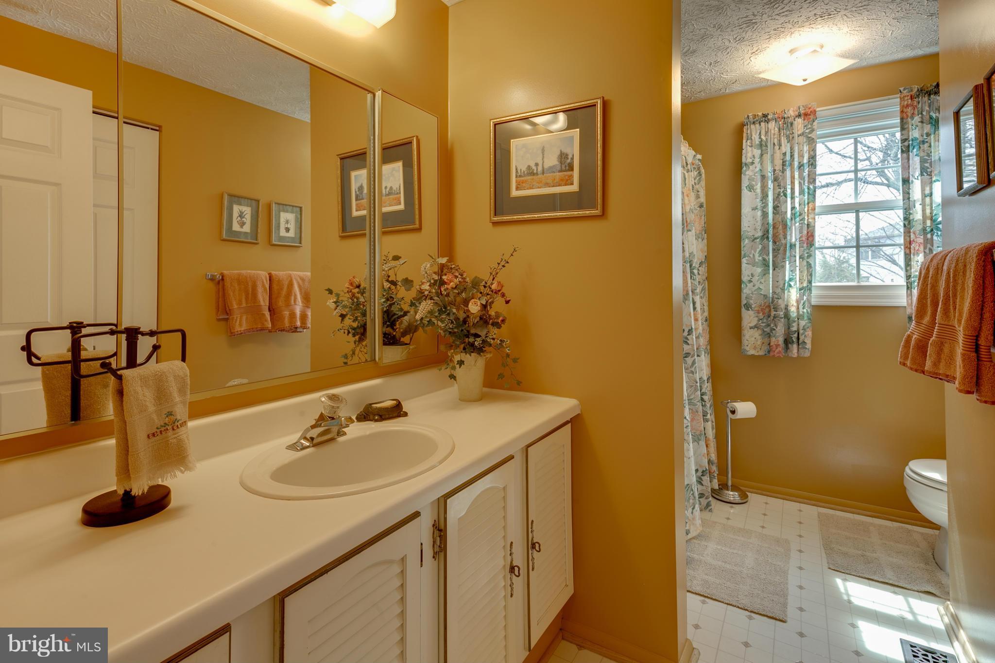 1461 Silo Way Silver Spring, MD 20905 - Photo 21 of 22 Bath