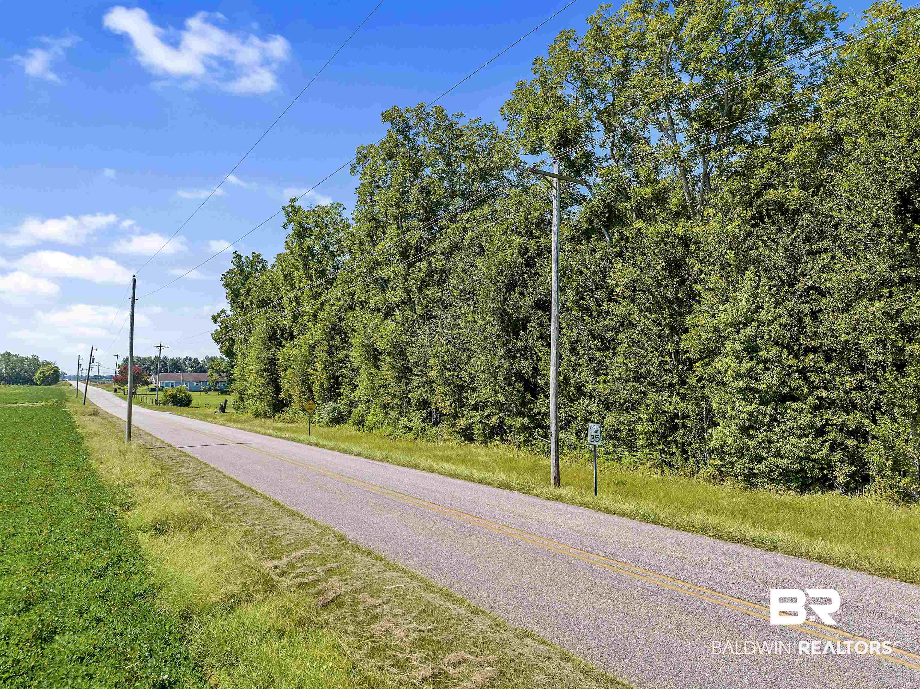 0 County Road 83 Robertsdale, AL 36567 - Photo 17 of 18