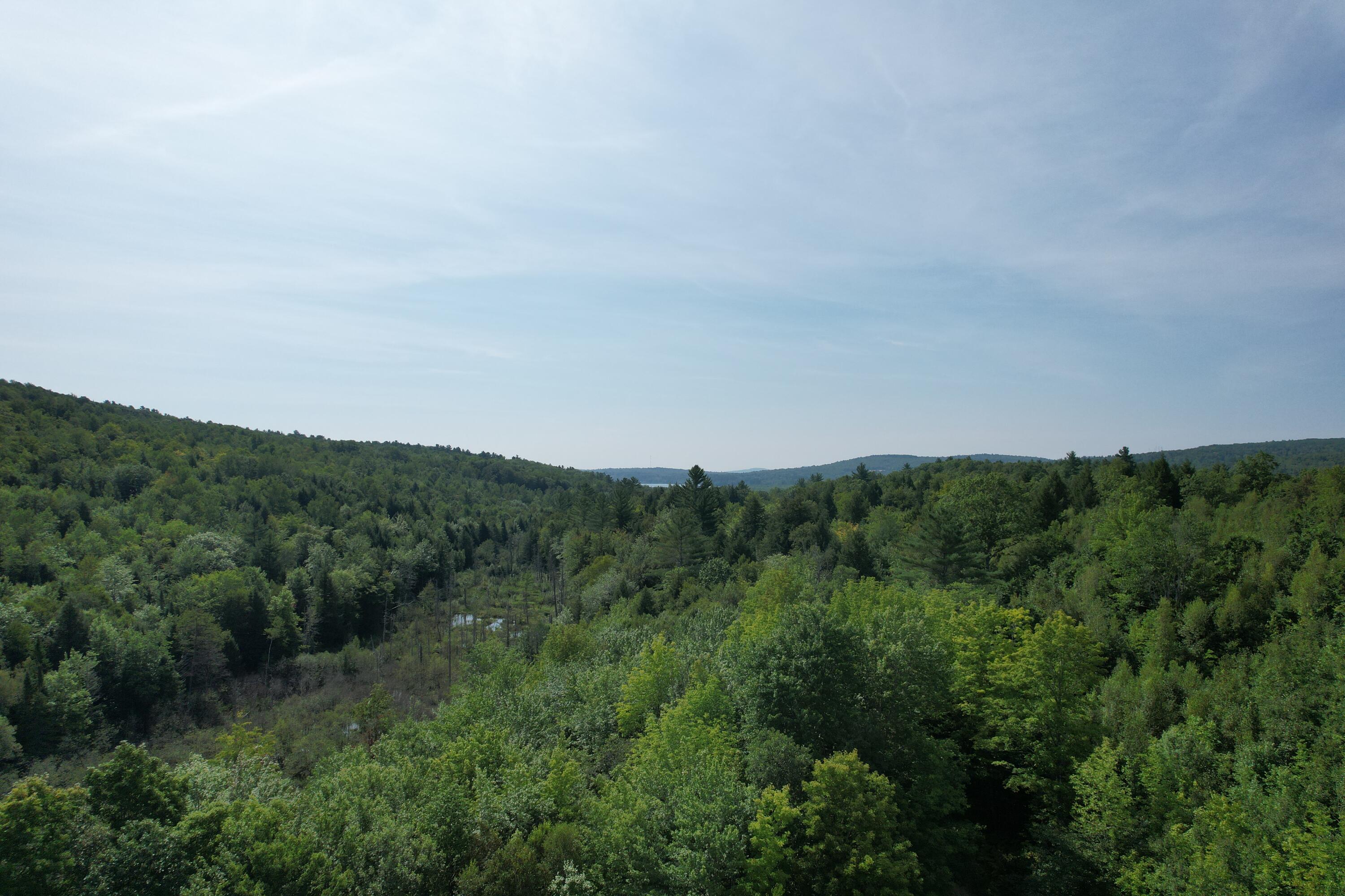 Lots B&c Hanslip Road Wilton, ME 04294 - Photo 7 of 15 7