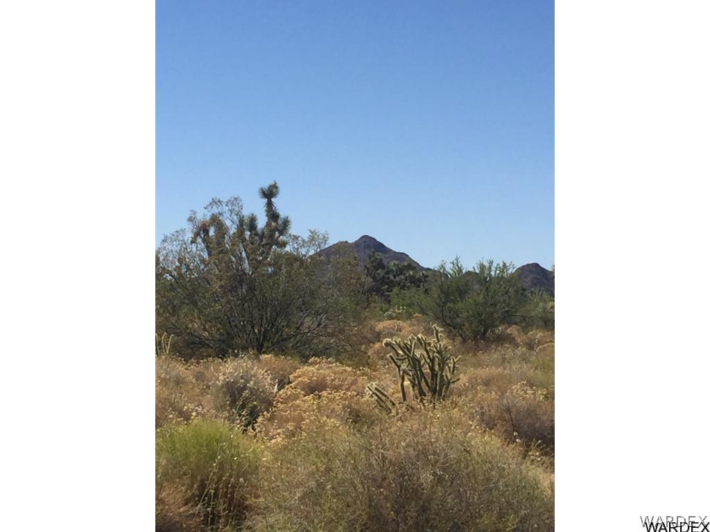 1050 B South Kit Carson Road Yucca, AZ 86438 - Photo 1 of 5 Gallery Image 1