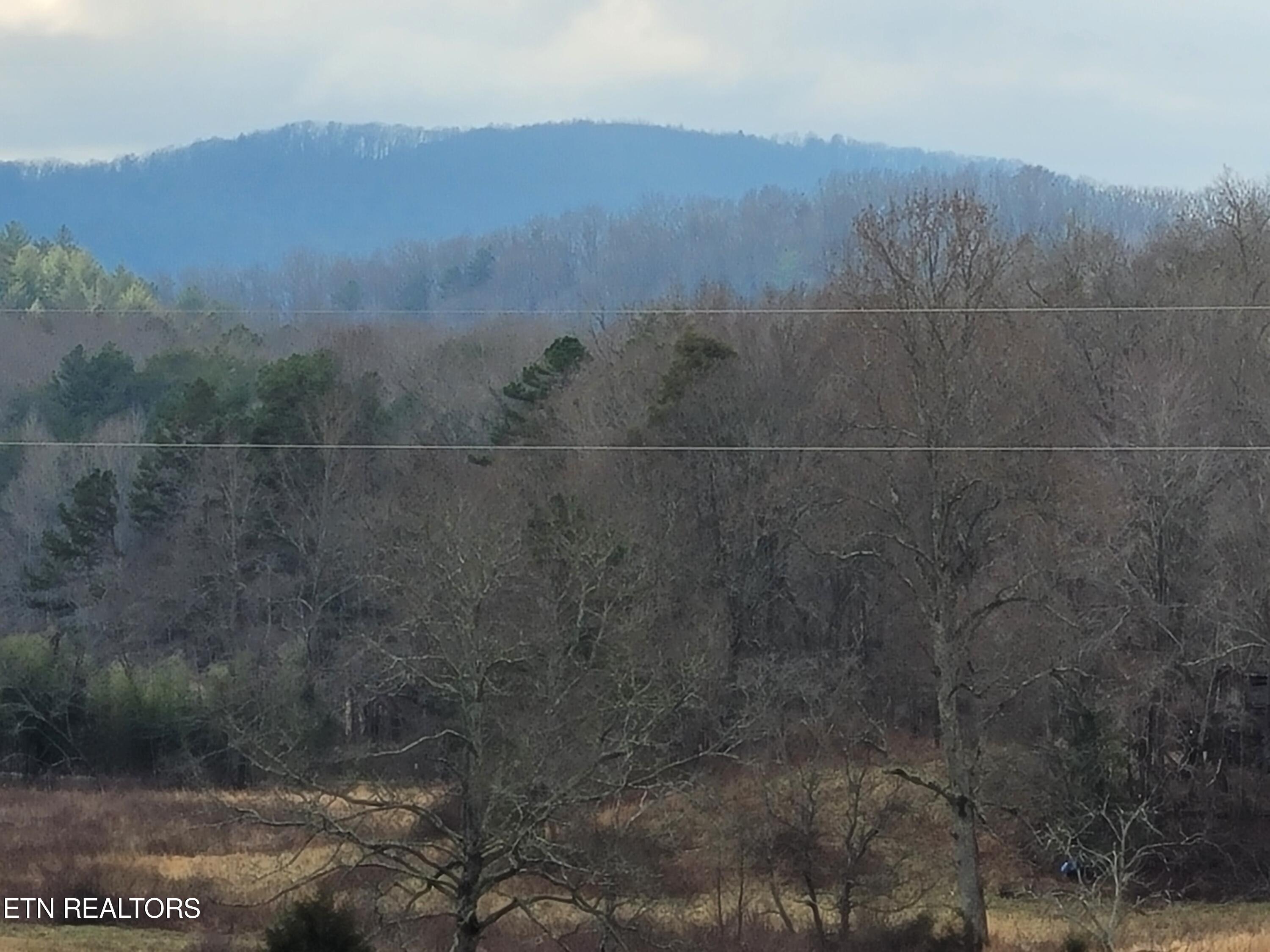 742 Hot Water Road Tellico Plains, TN 37385 - Photo 16 of 51 20240131_102133