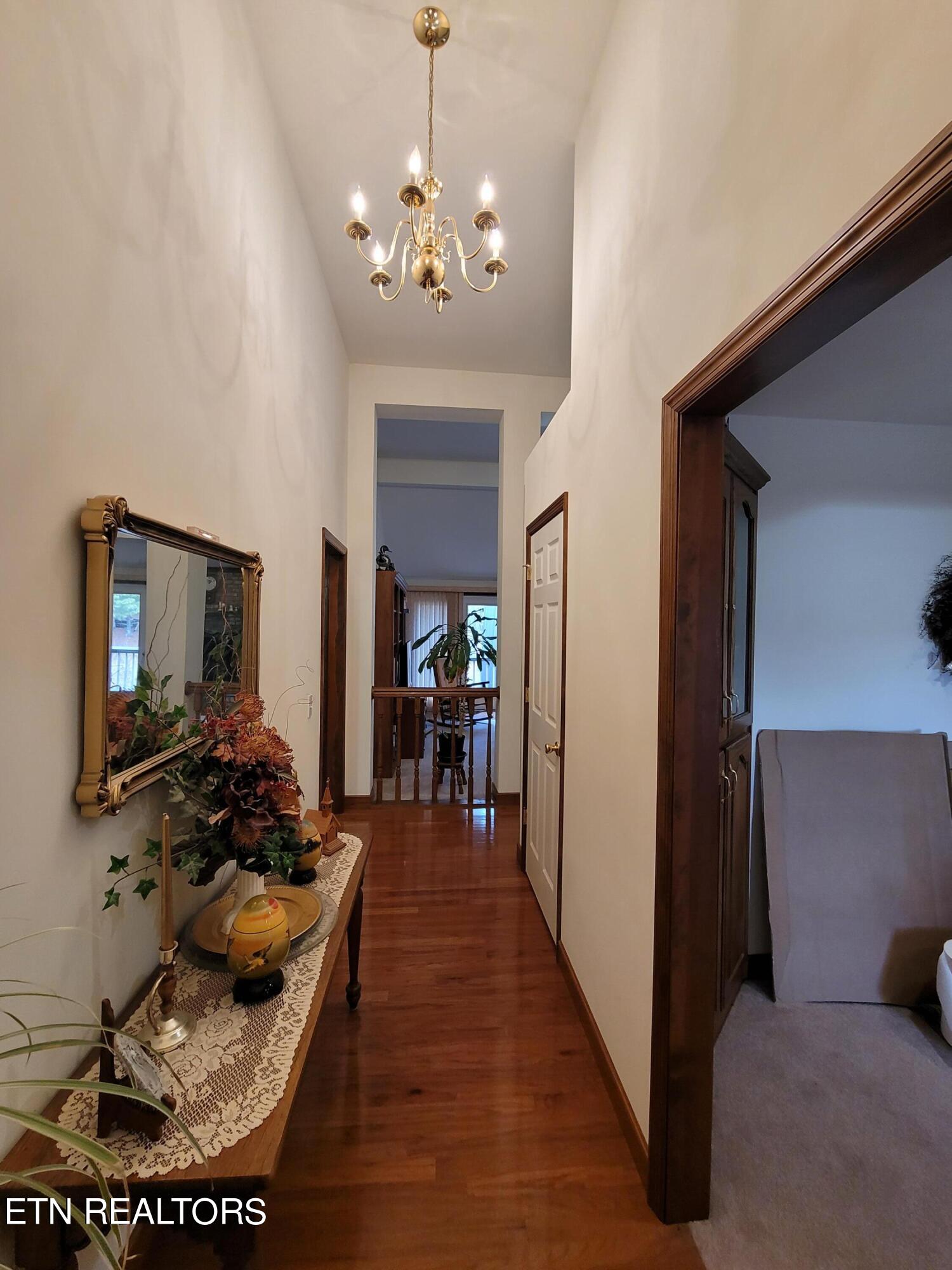 742 Hot Water Road Tellico Plains, TN 37385 - Photo 10 of 51 20240131_104953