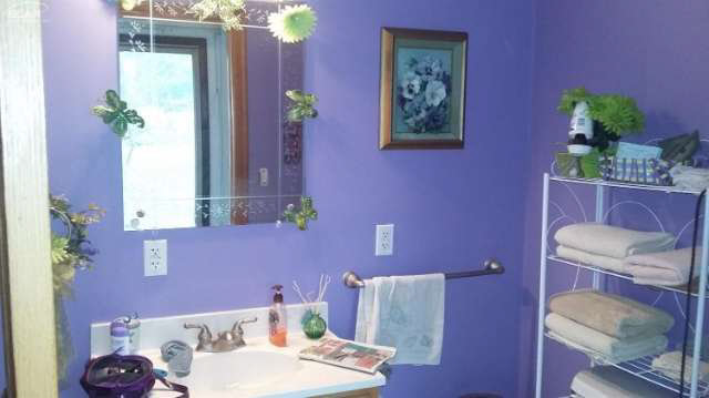 7388 South Durand Road Durand, MI 48429 - Photo 7 of 7 20455293-6.JPG