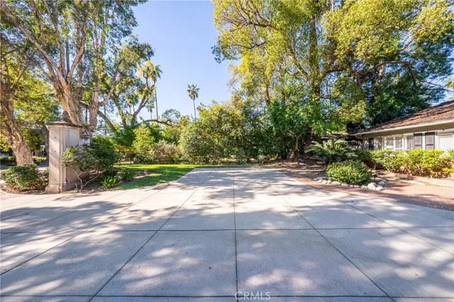a view of a yard with plants and trees